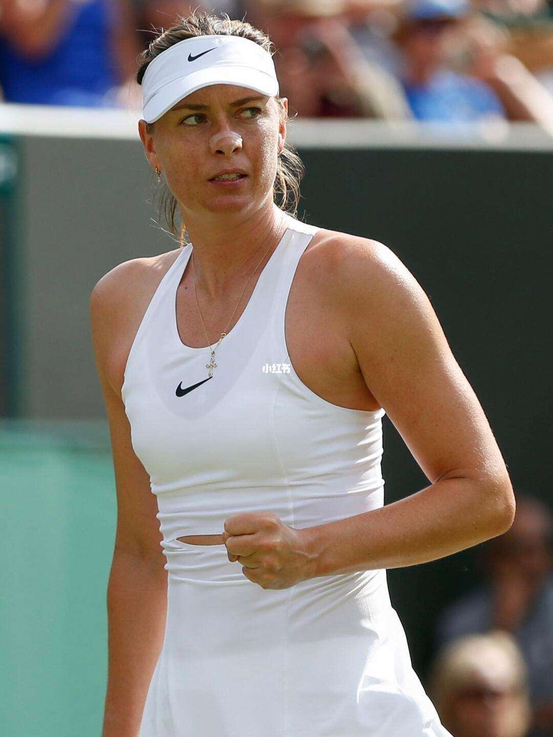 DWG不断突破！，莎拉波娃连续七场比赛得分超过重返赛场上演精彩一战的简单介绍